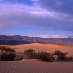 Untitled Mojave Desert