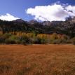 Fall in the Eastern Sierra 2 