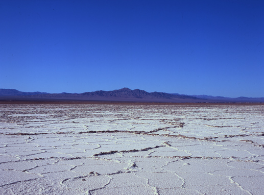 Untitled Mojave Desert.2